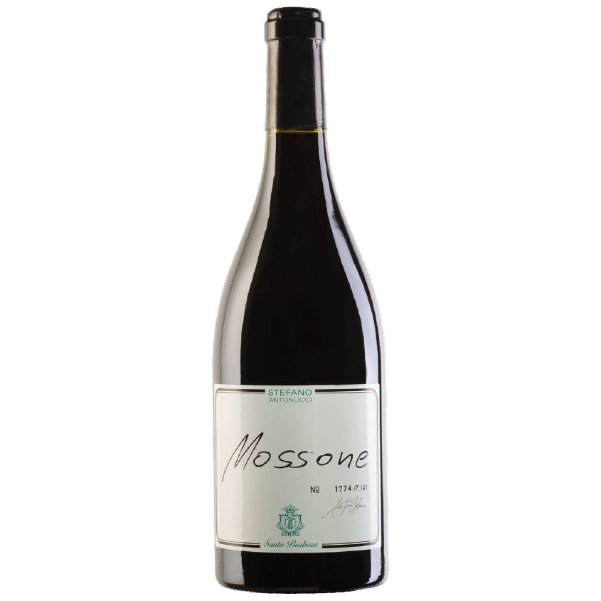 “MOSSONE” MERLOT MARCHE ROSSO IGT 2018 SANTA BARBARA